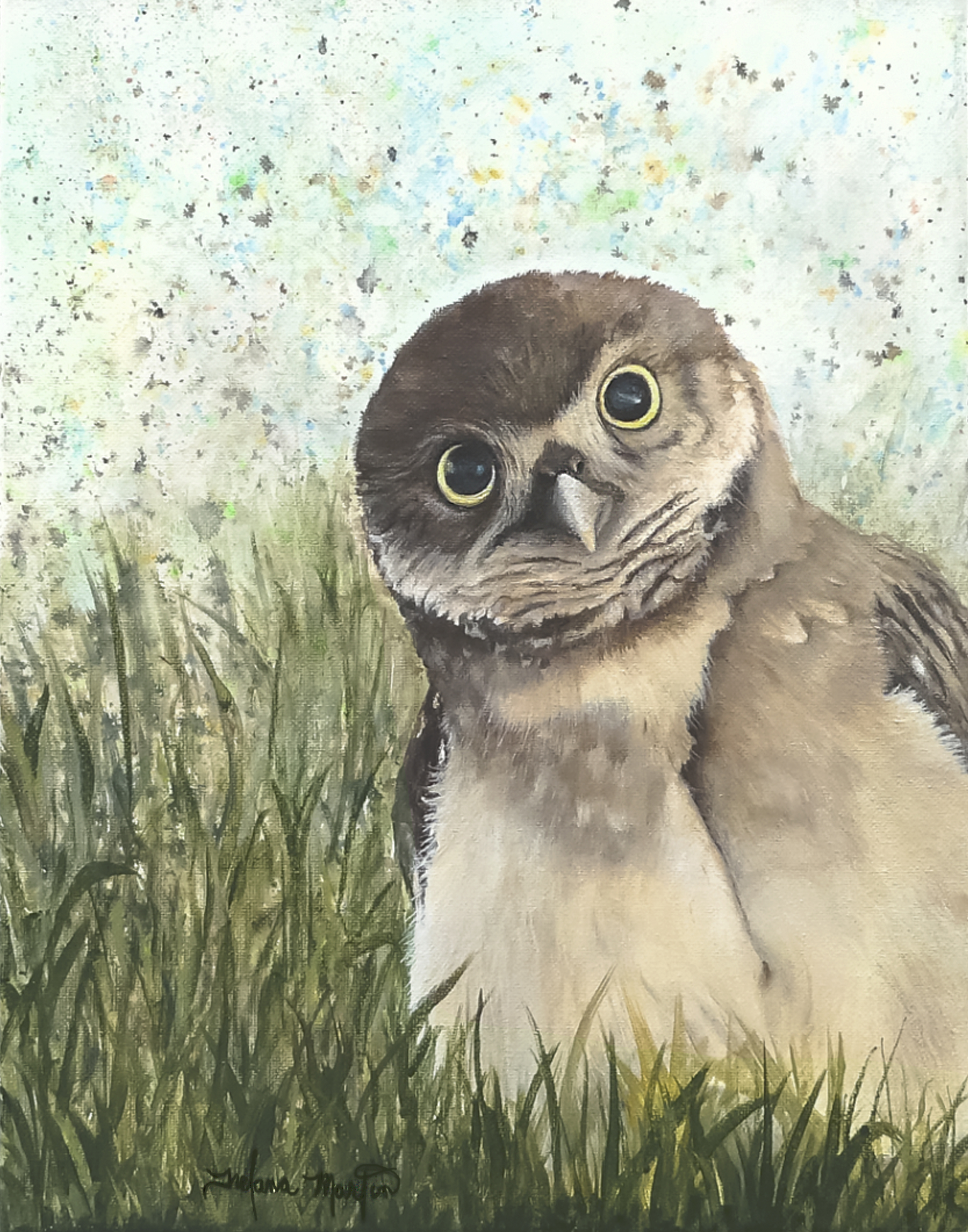 Original Artwork Gallery